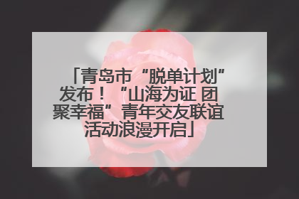 青岛市“脱单计划”发布！“山海为证 团聚幸福”青年交友联谊活动浪漫开启