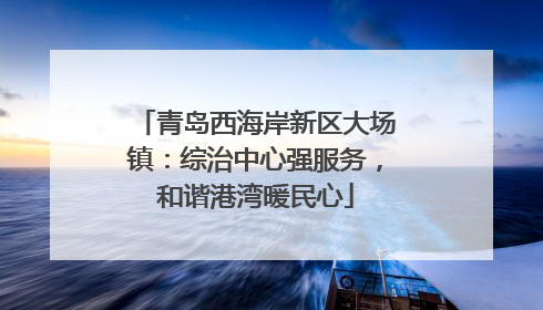青岛西海岸新区大场镇：综治中心强服务，和谐港湾暖民心