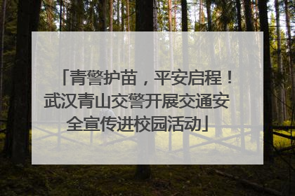 青警护苗，平安启程！武汉青山交警开展交通安全宣传进校园活动