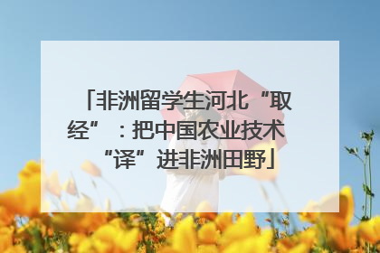 非洲留学生河北“取经”：把中国农业技术“译”进非洲田野