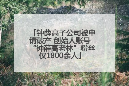 钟薛高子公司被申请破产 创始人账号“钟薛高老林”粉丝仅1800余人