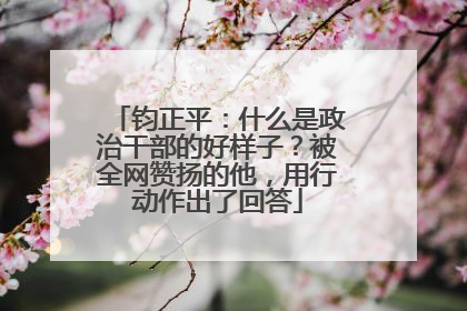 钧正平：什么是政治干部的好样子？被全网赞扬的他，用行动作出了回答