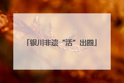银川非遗“活”出圈