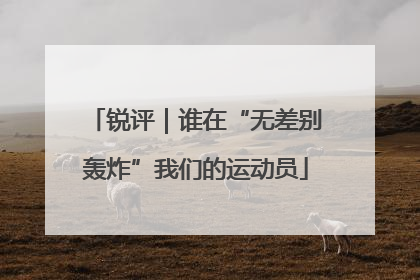 锐评｜谁在“无差别轰炸”我们的运动员