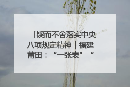 锲而不舍落实中央八项规定精神｜福建莆田：“一张表”“一张图”为基层减轻“数字负担”