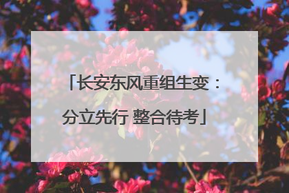 长安东风重组生变：分立先行 整合待考