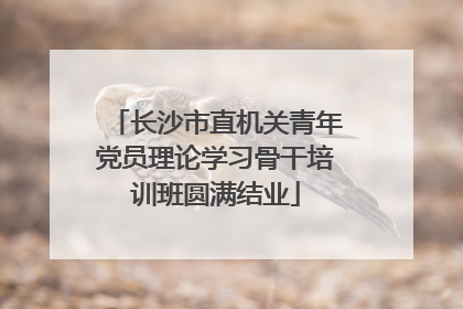 长沙市直机关青年党员理论学习骨干培训班圆满结业