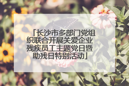 长沙市多部门党组织联合开展关爱企业残疾员工主题党日暨助残日特别活动