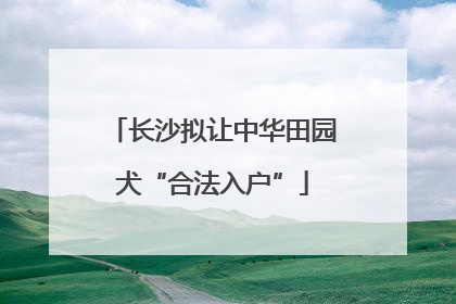 长沙拟让中华田园犬“合法入户”