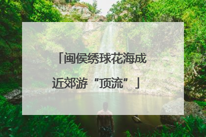 闽侯绣球花海成近郊游“顶流”