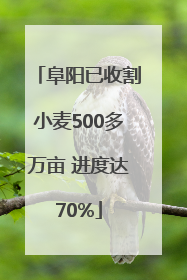 阜阳已收割小麦500多万亩 进度达70%