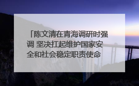 陈文清在青海调研时强调 坚决扛起维护国家安全和社会稳定职责使命 为谱写中国式现代化青海篇章贡献政法力量