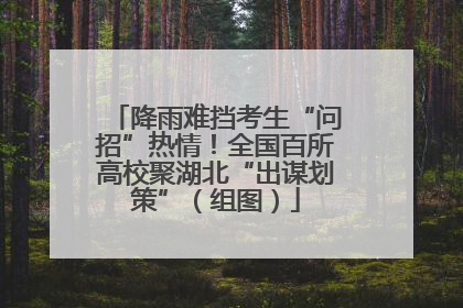降雨难挡考生“问招”热情！全国百所高校聚湖北“出谋划策”（组图）