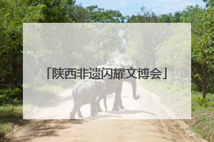 陕西非遗闪耀文博会