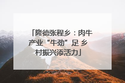 隆德张程乡：肉牛产业“牛劲”足 乡村振兴添活力