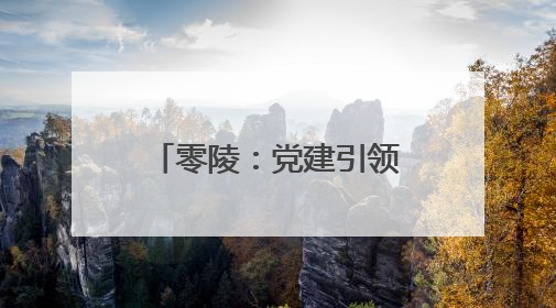 零陵：党建引领 做强蔬菜产业