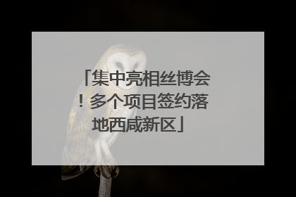 集中亮相丝博会！多个项目签约落地西咸新区