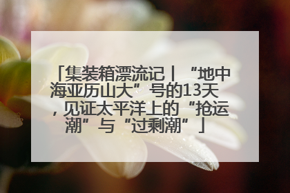 集装箱漂流记丨“地中海亚历山大”号的13天，见证太平洋上的“抢运潮”与“过剩潮”