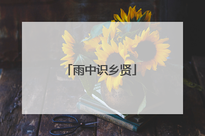 雨中识乡贤