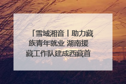 雪域湘音丨助力藏族青年就业 湖南援藏工作队建成西藏首个清洁能源装备园