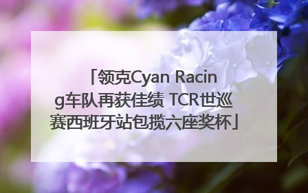 领克Cyan Racing车队再获佳绩 TCR世巡赛西班牙站包揽六座奖杯