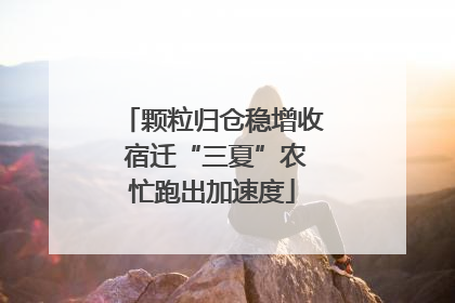 颗粒归仓稳增收 宿迁“三夏”农忙跑出加速度