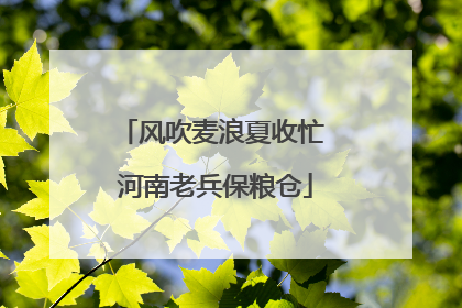 风吹麦浪夏收忙 河南老兵保粮仓