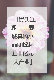 馒头江湖——鄄城县的小面团撑起五十亿元大产业