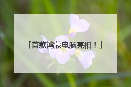 首款鸿蒙电脑亮相！