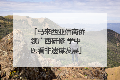 马来西亚侨商侨领广西研修 学中医看非遗谋发展