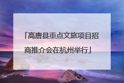 高唐县重点文旅项目招商推介会在杭州举行