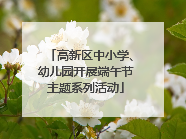 高新区中小学、幼儿园开展端午节主题系列活动