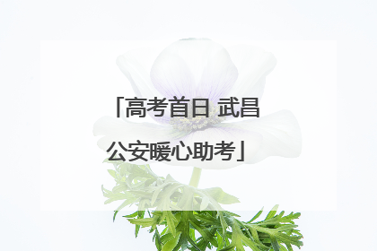 高考首日 武昌公安暖心助考