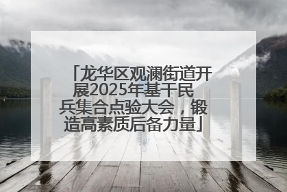 龙华区观澜街道开展2025年基干民兵集合点验大会，锻造高素质后备力量