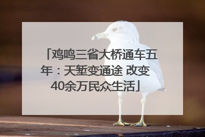 鸡鸣三省大桥通车五年：天堑变通途 改变40余万民众生活