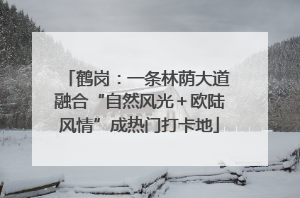 鹤岗：一条林荫大道融合“自然风光＋欧陆风情”成热门打卡地