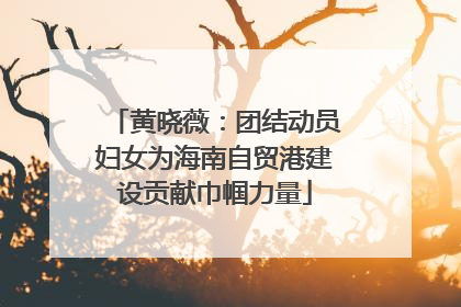 黄晓薇：团结动员妇女为海南自贸港建设贡献巾帼力量