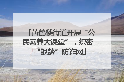 黄鹤楼街道开展“公民素养大课堂”，织密“银龄”防诈网