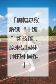 黑帽悬猴解锁“干饭”新技能，原来是园林师的神操作