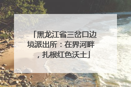 黑龙江省三岔口边境派出所：在界河畔，扎根红色沃土