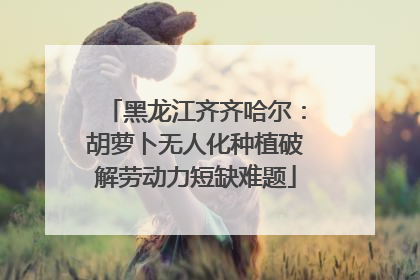 黑龙江齐齐哈尔：胡萝卜无人化种植破解劳动力短缺难题