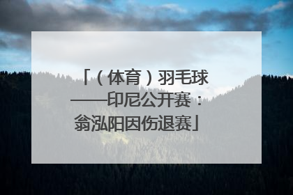 （体育）羽毛球——印尼公开赛：翁泓阳因伤退赛