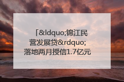 “锦江民营发展贷”落地两月授信1.7亿元，惠及118家民企