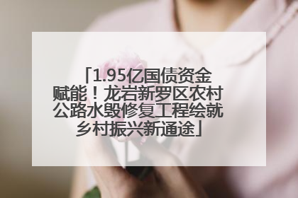 1.95亿国债资金赋能！龙岩新罗区农村公路水毁修复工程绘就乡村振兴新通途