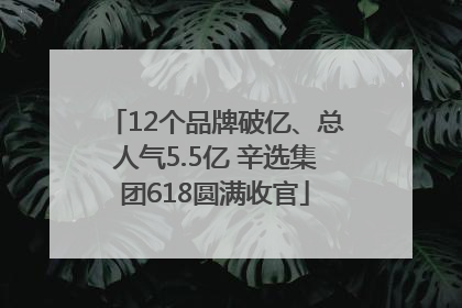 12个品牌破亿、总人气5.5亿 辛选集团618圆满收官