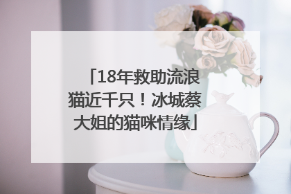 18年救助流浪猫近千只！冰城蔡大姐的猫咪情缘