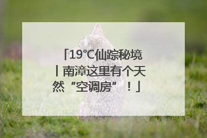 19℃仙踪秘境丨南漳这里有个天然“空调房”！
