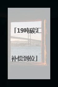 19吨碳汇补偿到位