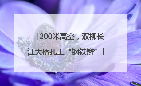 200米高空，双柳长江大桥扎上“钢铁辫”