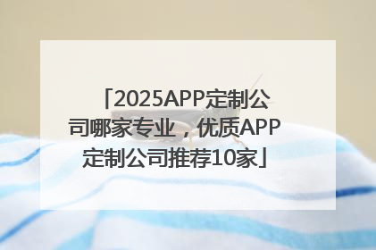 2025APP定制公司哪家专业，优质APP定制公司推荐10家
